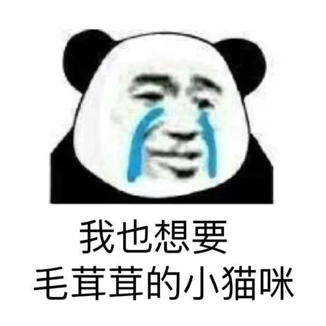 我也想要毛茸茸的小猫咪（我也想要毛茸茸的小猫咪）