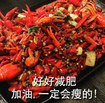 好好减肥加油,一定会瘦的!