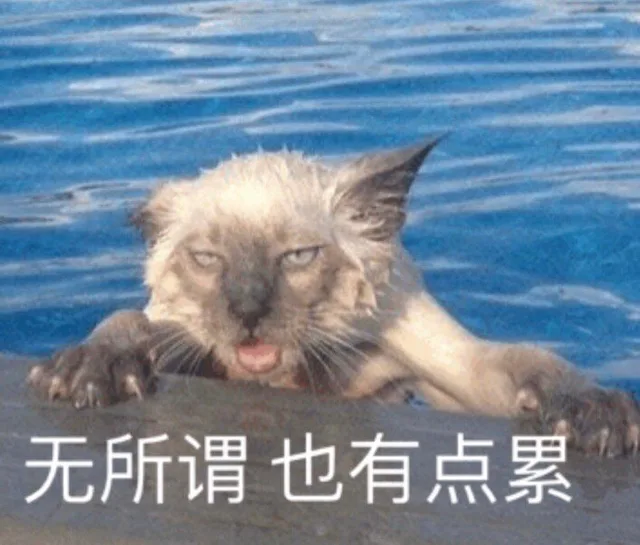 无所谓 也有点累（猫咪表情包）