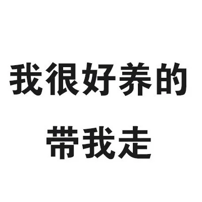 我很好养的，带我走