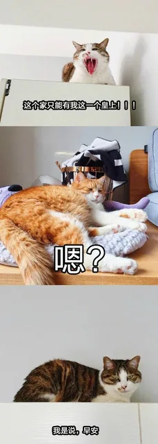 这个家只有我这一个皇上！！！嗯？我是说，早安（这个家只有我这一个皇上！！！嗯？我是说，早安）