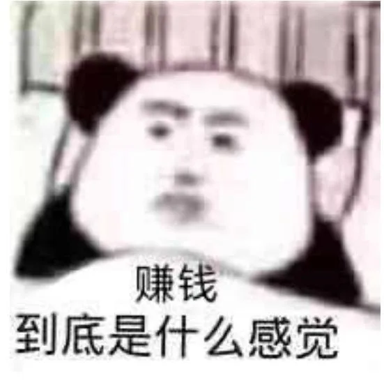 赚钱到底是什么感觉（赚钱到底是什么感觉）