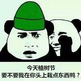 今天植树节，要不要我在你头上栽点东西鸭？（今天植树节，要不要我在你头上栽点东西鸭？）