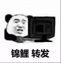 锦鲤 转发