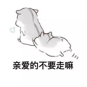 亲爱的不要走嘛（亲爱的不要走嘛）
