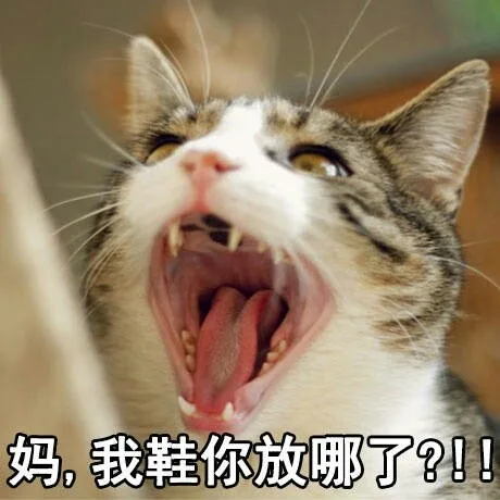 妈，我鞋你放哪了？！！（妈，我鞋你放哪了？！！）