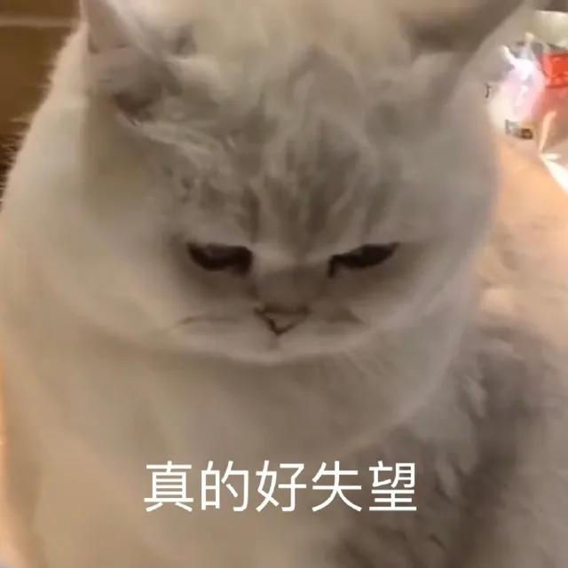 真的好失望（真的好失望）