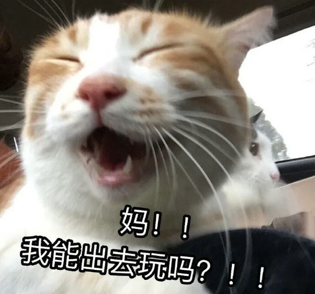 妈！！我能出去玩吗？
