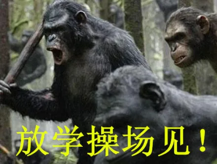 放学操场见！