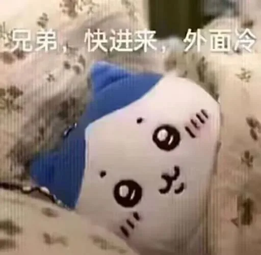 兄弟，快进来，外面冷（兄弟，快进来，外面冷）