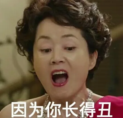因为你长得丑（因为你长得丑）