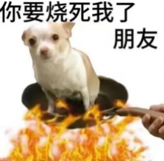 你要烧死我了朋友（你要烧死我了朋友）