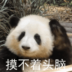 摸不着头脑（摸不着头脑）