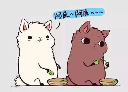 阿屎～阿屎～（阿屎～阿屎～）