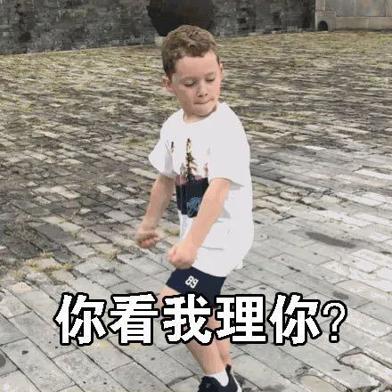 你看我理你？