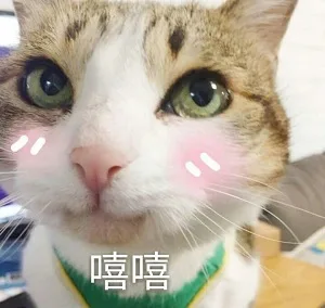 嘻嘻（嘻嘻）