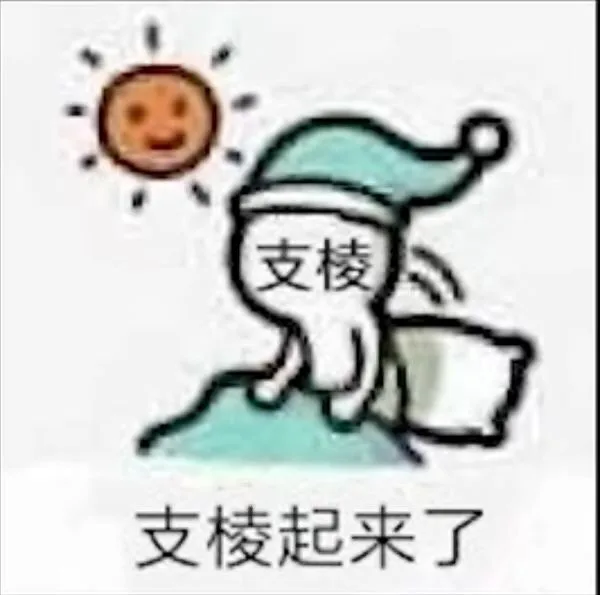 支棱支棱起来了（支棱支棱起来了）