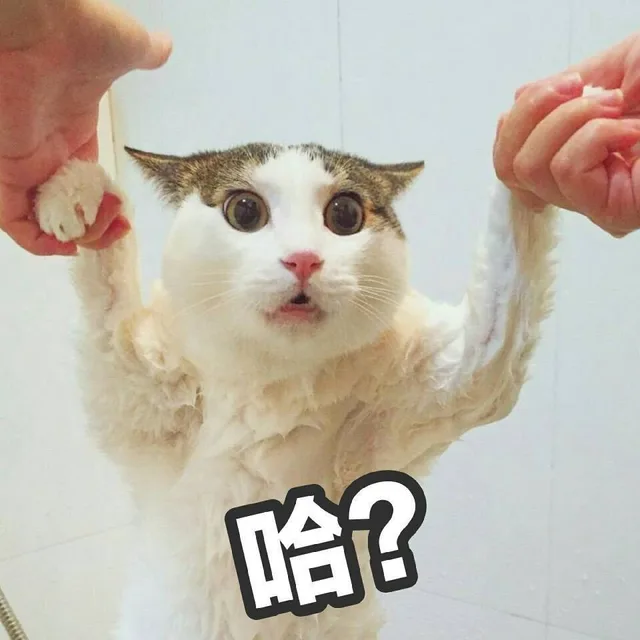 哈（哈）