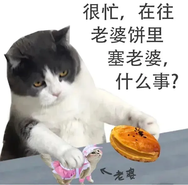 很忙,在往老婆饼里塞老婆,什么事?老婆（很忙,在往老婆饼里塞老婆,什么事?老婆）