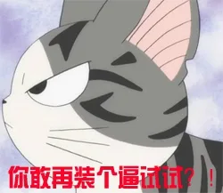你敢再装个逼试试？！（你敢再装个逼试试？！）