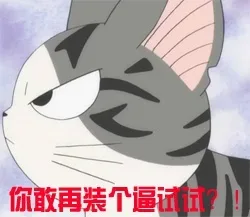 你敢再装个逼试试？！