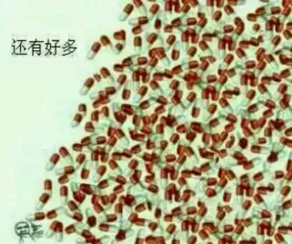 还有好多 － 卡通兔子