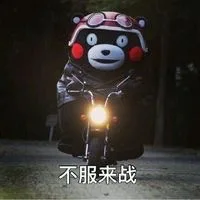 不服来战啊（骑摩托车）（不服来战啊（骑摩托车））