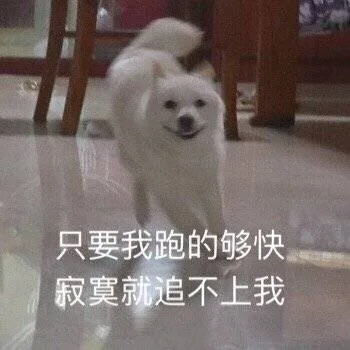 只要我跑得够快 寂寞就追不上我