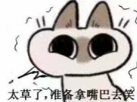 太草了,准备拿嘴巴去笑（太草了,准备拿嘴巴去笑）