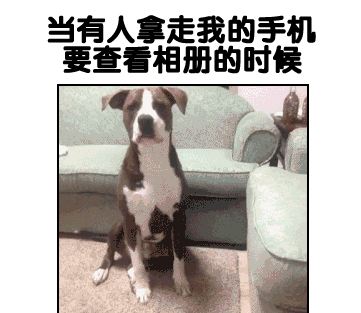 当有人拿走我的手机要查看相册的时候