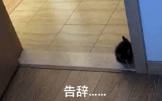 告辞（告辞）
