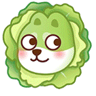QQ菜狗表情包（QQ菜狗表情包）
