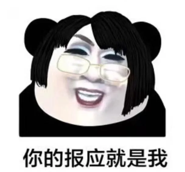 你的报应就是我（韩美娟表情包）