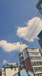 今日份壁纸精选表情包