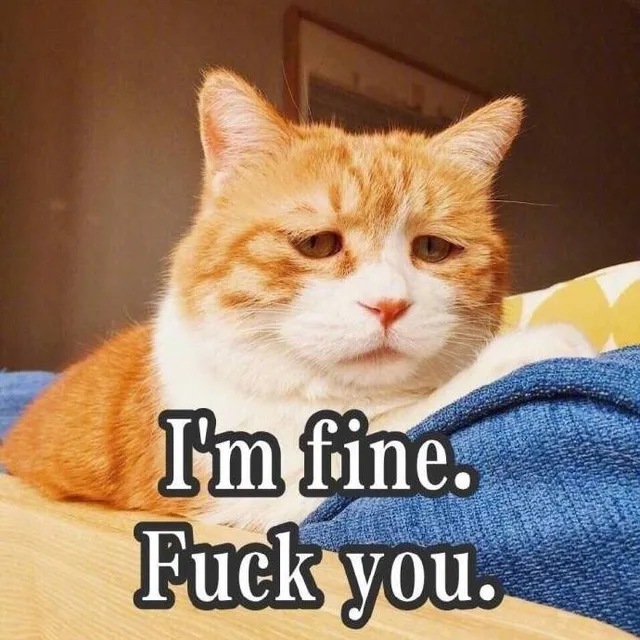 I'm fine. Fuck you.（I'm fine. Fuck you.）