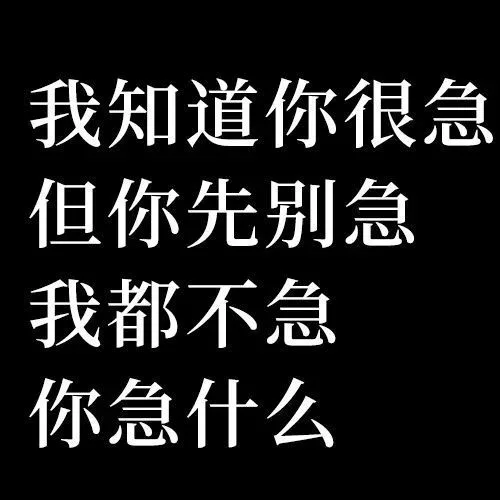 我知道你很急但你先别急我都不急你急什么（我知道你很急但你先别急我都不急你急什么）