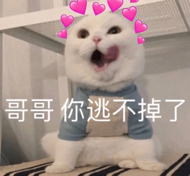 哥哥 你逃不掉了