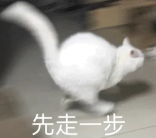 先走一步