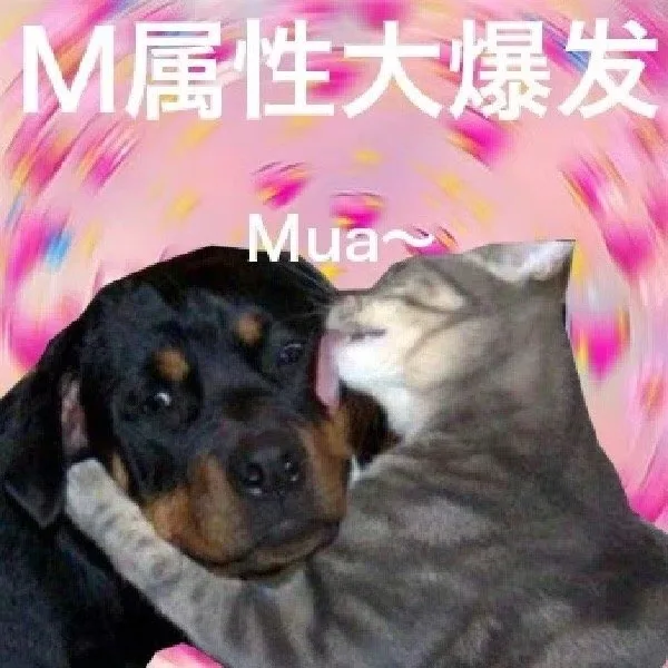 M属性大爆发Mua~（M属性大爆发Mua~）