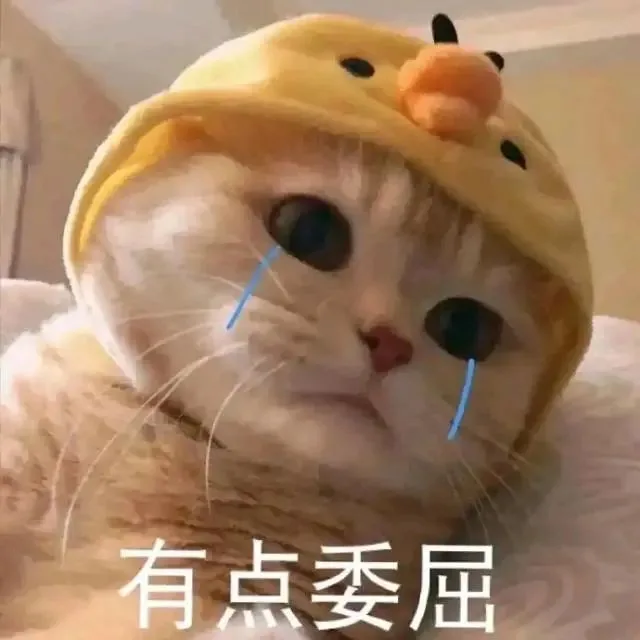 有点委屈（有点委屈）