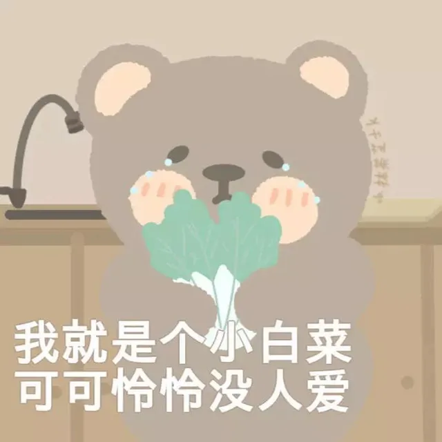我就是个小白菜 可可怜怜没人爱