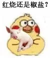 红烧还是椒盐（红烧还是椒盐）