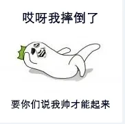 哎呀我摔倒了，要你们说我帅才能起来（哎呀我摔倒了，要你们说我帅才能起来）