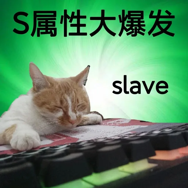 S属性大爆发slave（S属性大爆发slave）