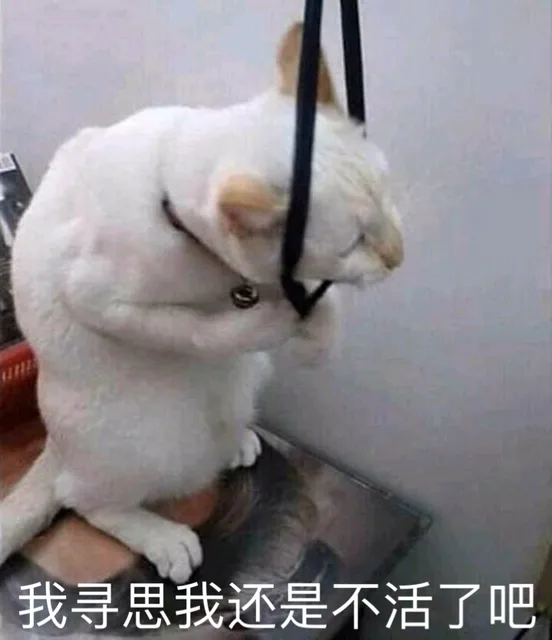 我寻思我还是不活了吧（猫咪表情包）
