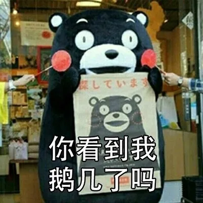 你看到我鹅几了吗
