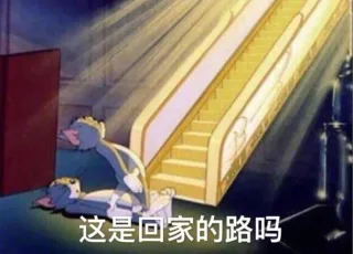打工人必备猫抓老鼠