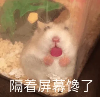 可爱萌宠表情包系列