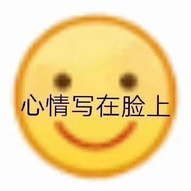 心情写在脸上（心情写在脸上）