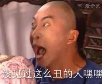 没见过这么丑的人 嘿嘿（没见过这么丑的人 嘿嘿）